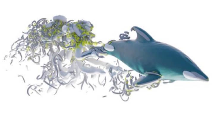 Research roundup: 6 cool science stories we almost missed