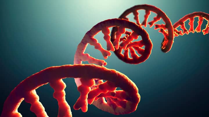 Do you take after your dad’s RNA?