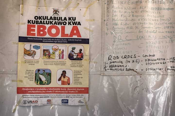Ebola outbreak: WHO declares emergency, US restricts travel, American infected