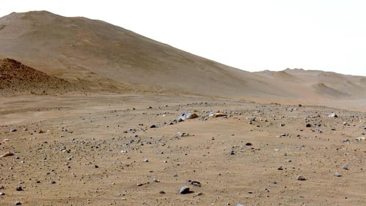 A martian rock has lots of carbon on it, and it's not clear why