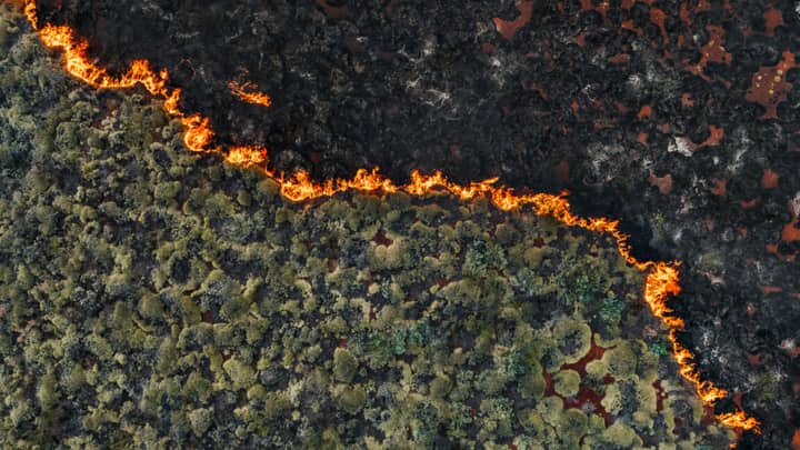 Senators demand crackdown on wildfire "prediction market" bets