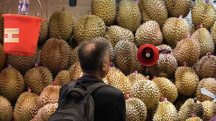 Cheaper durians for China, Hong Kong helpers camp in tents: 5 weekend reads you missed