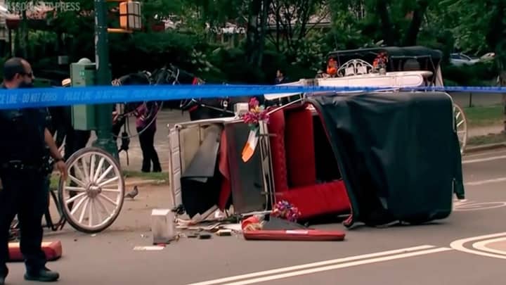New York City mayor pushes to end horse carriage industry after Indian teenager’s death
