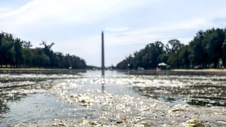 Algae-filled Washington pool to be drained for repairs after US$14.7 million renovation