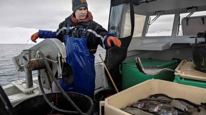 Is ‘no Greenland seafood for China’ the US’ new security doctrine?