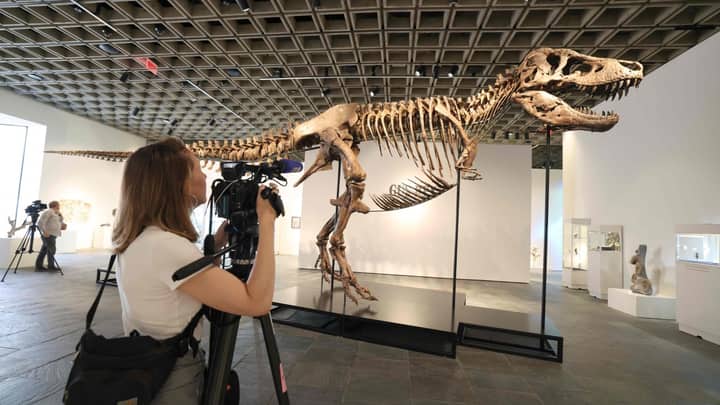 ‘Gus’ the T. rex fetches record US$50.1 million at US auction