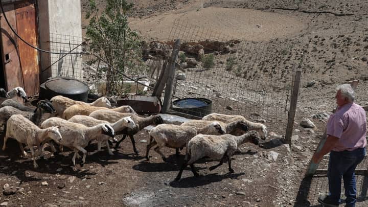 4 Greek MPs charged over multimillion EU farm fraud scandal