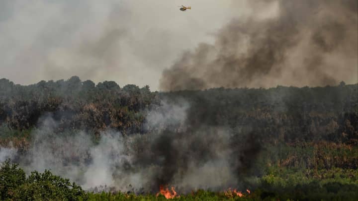 France, Spain make headway against wildfires but new heatwave looms