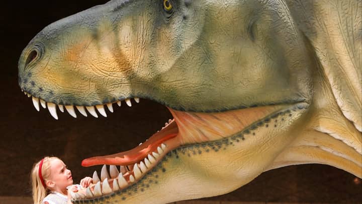T. rex was warm-blooded and had body temperature close to ours, study finds