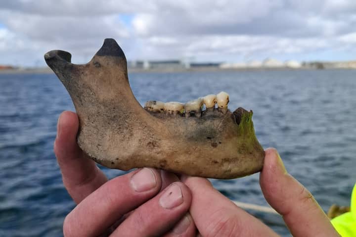Lost Warship From Battle of Copenhagen Found After 225 Years