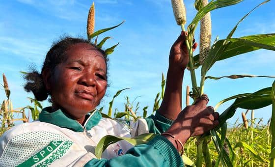 El Niño forecast to intensify, increasing likelihood of extreme weather