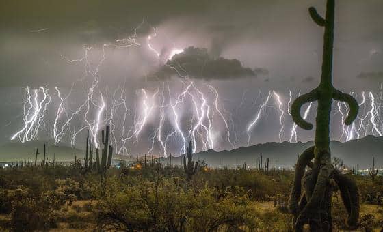 Strong El Niño ahead, UN weather agency warns