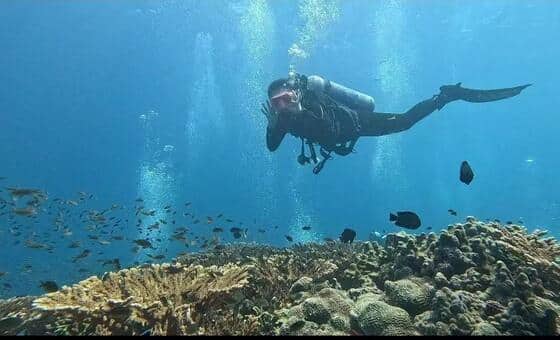 ‘The ocean has no boundaries’: Beauty and life in a war zone