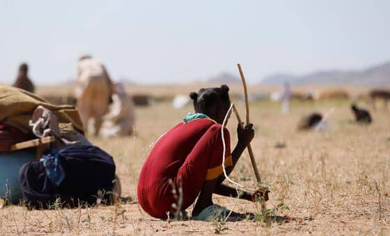 Darfur: Two decades on, a new generation of children faces 'horrific violence'