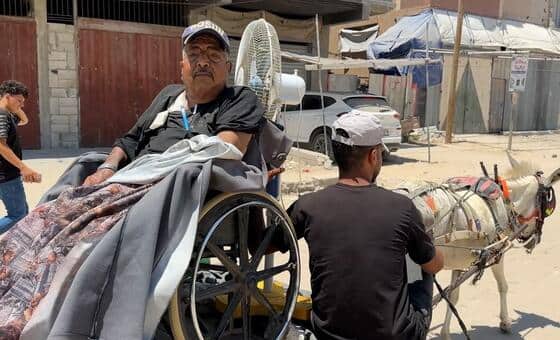 Gaza: Dialysis patients face grueling hospital journey by donkey cart