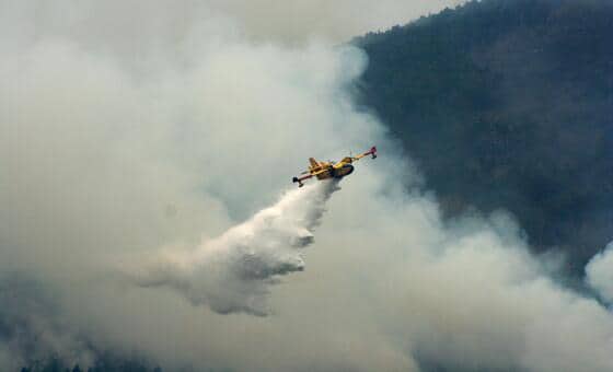 Wildfires: Prevention is the best defence, UN says