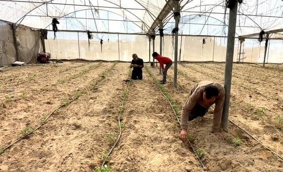 Gaza farmers battle to rebuild as WFP warns of West Bank settler violence