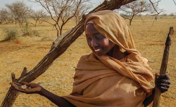 Looted gold and gum arabic are bankrolling Sudan's war, UN warns