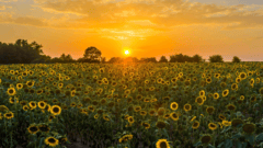Fewer heat-related deaths in 2025 despite warmest summer