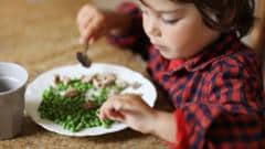 Billions of meals at risk due to Iran war, says fertiliser boss 