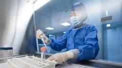 UK scientists developing Ebola vaccine that could be ready for trials in months