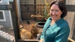 Bird flu vaccine trial against potential pandemic strain begins