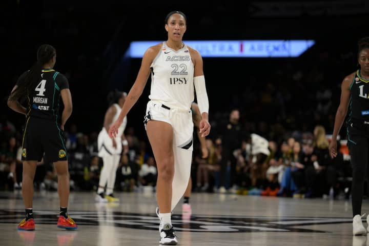 Lip Reader Catches What A’ja Wilson & Indiana Fever Fan Said in Heated Confrontation During Playoff Game
