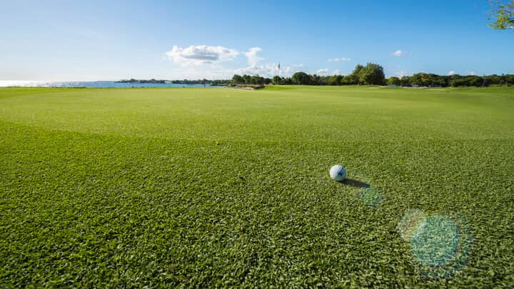 Over 30-Year-Old Public Golf Course Sacrificed for $10.5 Billion AI Data Center Project