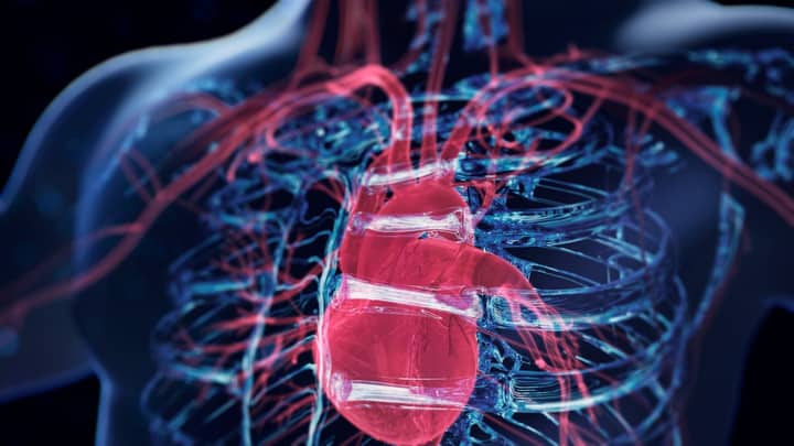 Want to live longer? Research reveals the top cardiac risk factor (and it’s not smoking)