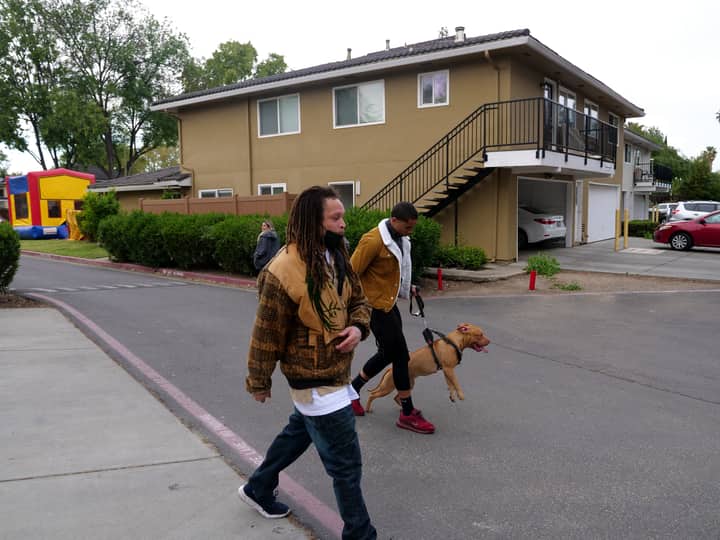 Two people walk a dog in a suburban neighborhood with residential buildings.