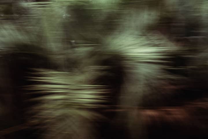 Dynamic abstract image of leaf motion blur with natural earthy tones.