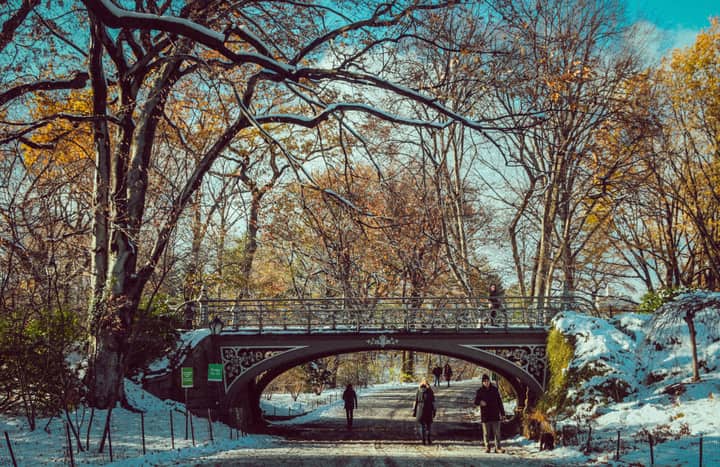 People walking in Central Park under a picturesque bridge during a snowy winter day.