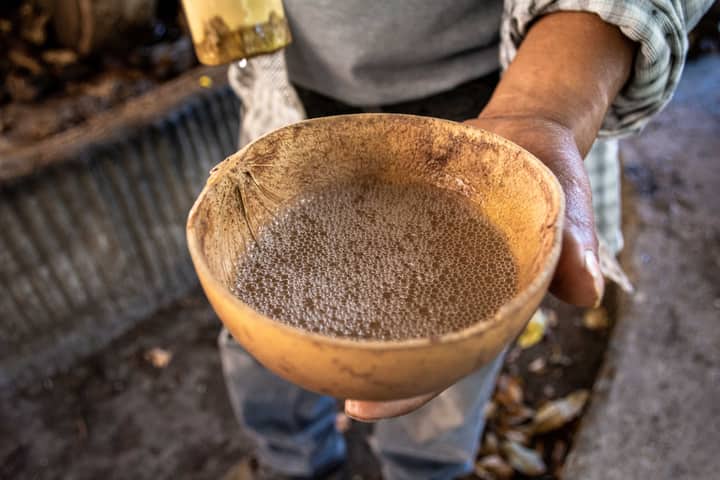 Traditional jicara filled with mezcal being held, showcasing cultural craftsmanship.
