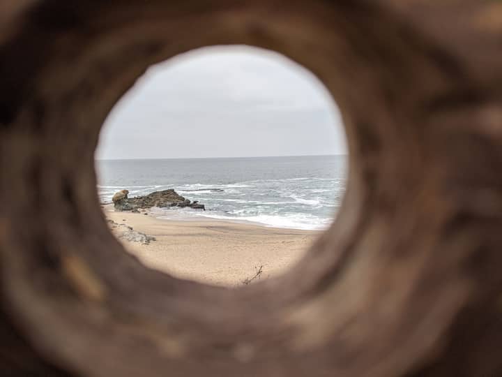Captivating perspective of Laguna Beach through a natural frame showcasing the coastline.