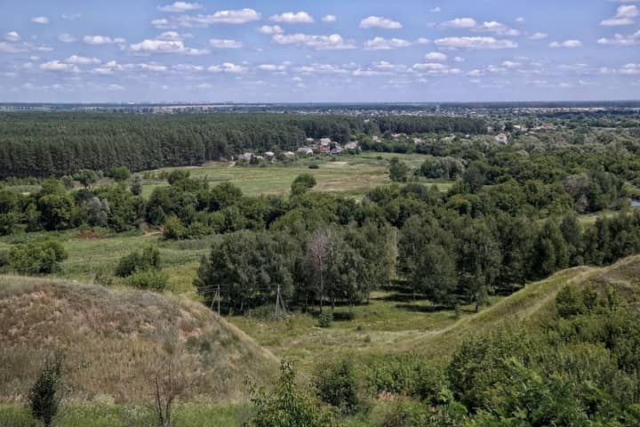 Breathtaking aerial view of green fields and dense forest in Bezludiwka during summer, under a clear blue sky.