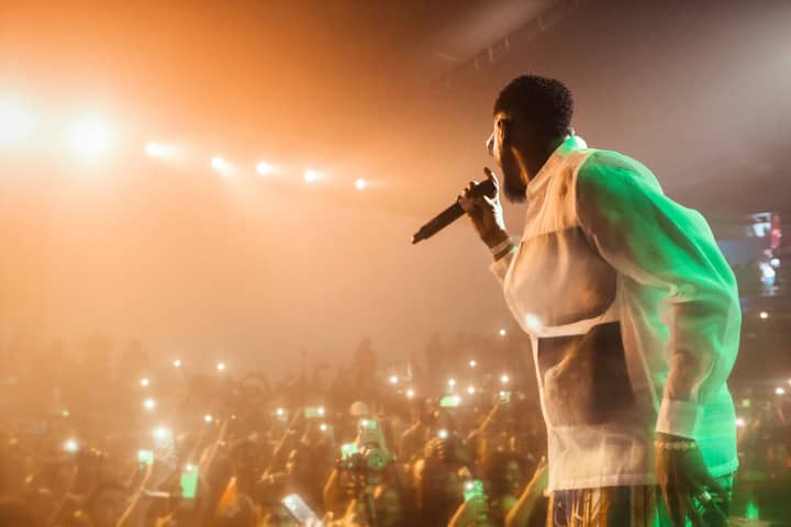 Dynamic scene of a performer on stage with a vibrant audience capturing the moment.