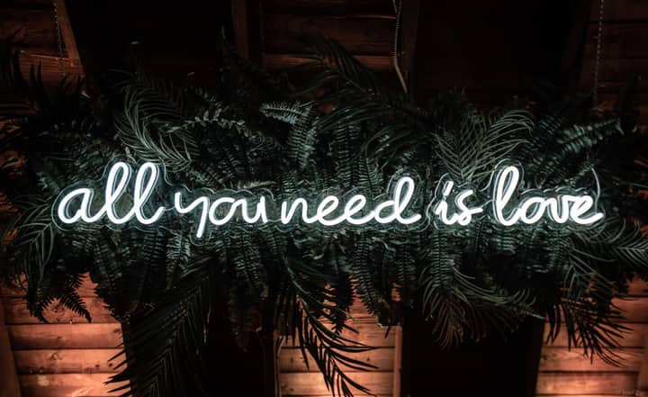 A vibrant neon sign stating 'All You Need is Love' surrounded by lush green leaves.