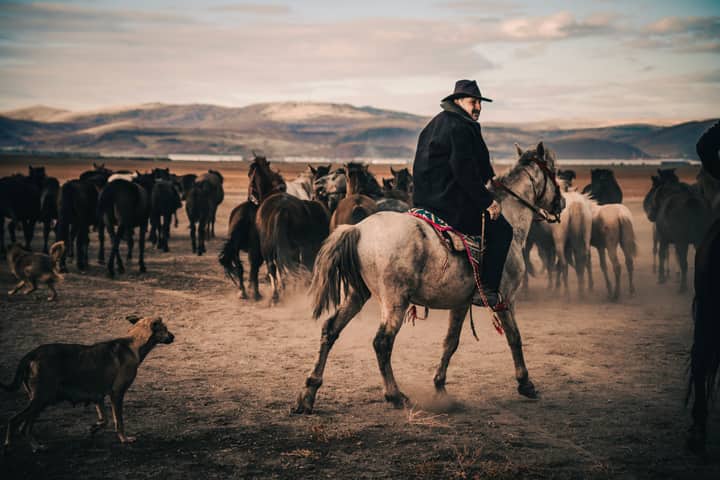 A cowboy rides a horse among a herd in a dusty and scenic landscape.