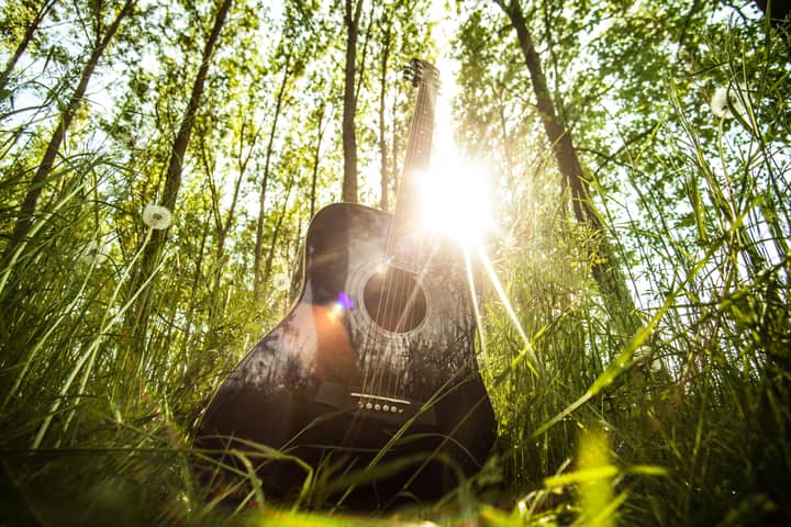 Black acoustic guitar in a vibrant sunlit forest setting with grass and trees.