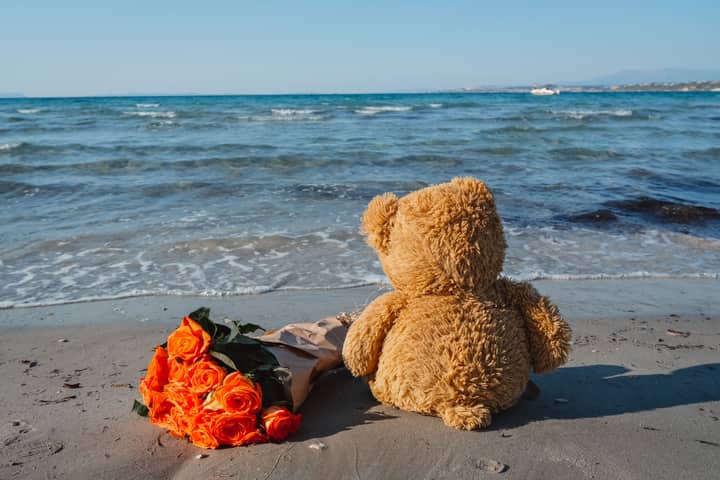 Romantic scene of a teddy bear and roses on a sunny beach shore.