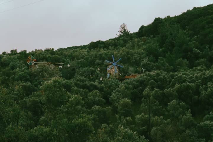 A tranquil view of windmills nestled in a verdant forest, capturing nature's beauty.