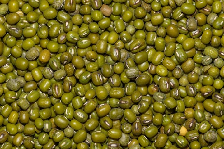 Detailed close-up image of green mung beans arranged in a pattern, perfect for food backgrounds.