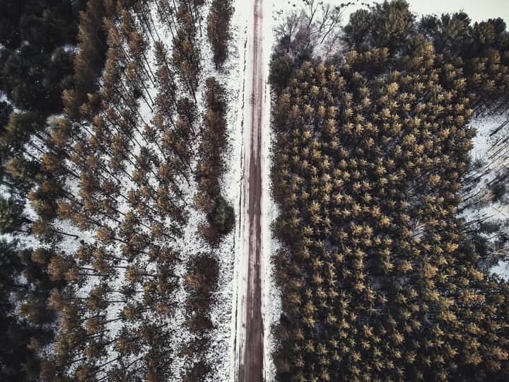 A stunning aerial view of a snowy forest split by a road in winter.
