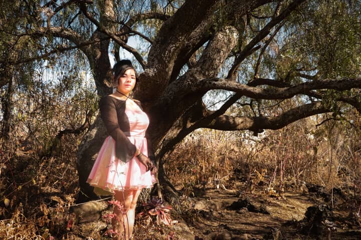 A woman in a pink dress poses gracefully by a large tree in a vibrant forest setting.