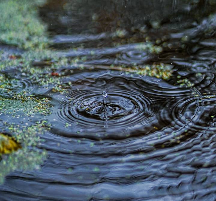 Captivating close-up of a water droplet splashing into a pond, forming mesmerizing ripples.