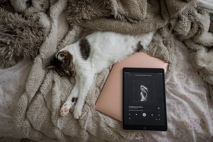 A tabby cat sleeps on a bed next to a tablet playing music, creating a cozy and relaxed atmosphere.