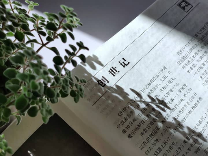 Close-up of a Chinese Bible page partially covered by a plant shadow.