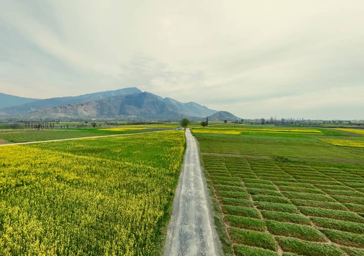 Expansive green fields stretch to the mountains under a bright sky, capturing rural tranquility.