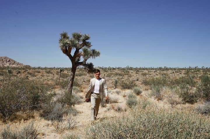 A man in a desert landscape with Joshua trees under clear blue skies, highlighting natural beauty.