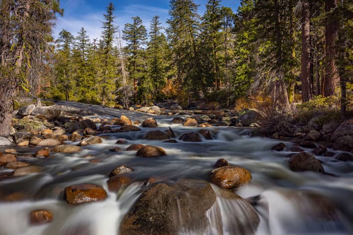 A peaceful stream flows through a forest, surrounded by rocks and trees.